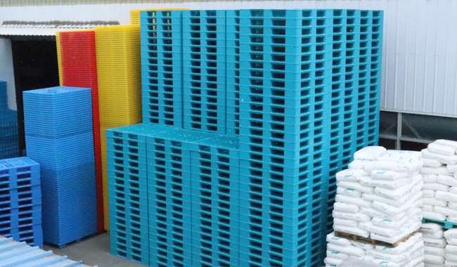 現(xiàn)在塑料托盤價格多少,如何購買塑料托盤？