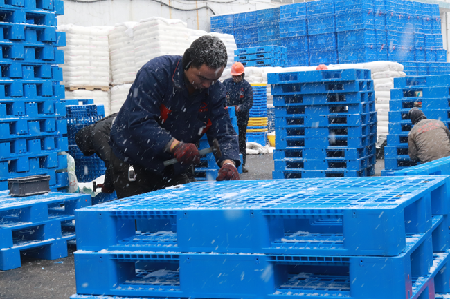 打鐵必須自身硬，質(zhì)量好的塑料托盤(pán)有什么要求？