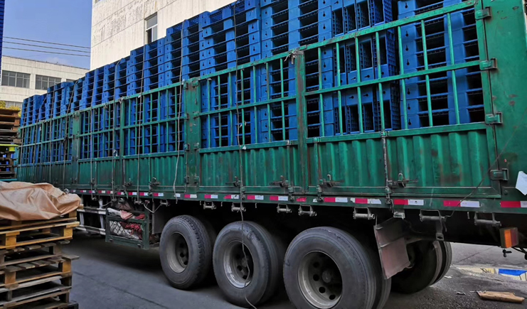 直擊！塑料托盤廠家的最新影像！