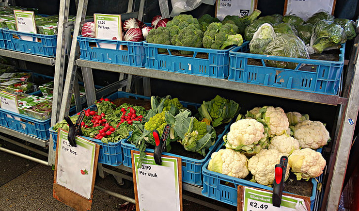 水果塑料周轉(zhuǎn)箱筐批發(fā)，快到筐里來！