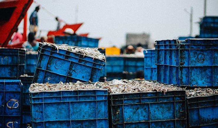 藍(lán)色塑料周轉(zhuǎn)箱哪里買？買個(gè)好周轉(zhuǎn)箱也太難了