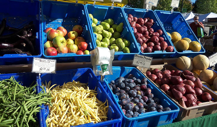 為何從大企業(yè)到小攤小販都離不開塑料周轉(zhuǎn)箱？