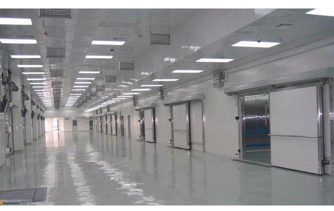 這款塑料托盤打入“冷宮”，也能混的如魚得水？